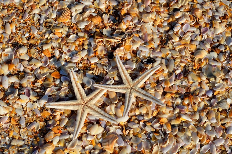 Exotic Beach Escapes